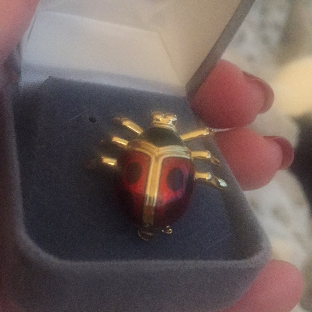🎉5/$18🎉 🐞 Ladybug pin